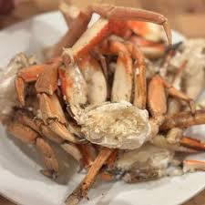 Image result for Handic 199