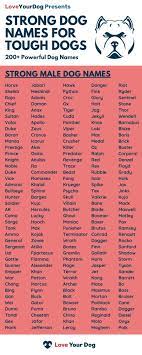 A tough name befit the attitude of your dog and people will know he is a tough dog. Tough Dog Names 200 Strong Powerful Names For Male Dogs In 2021 Tough Dog Names Dog Names Male Dog Names
