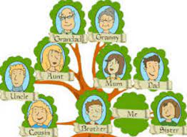 Pada silsilah keluarga atau pohon keluarga dalam bahasa inggris, terdapat dua istilah yang dapat kamu lihat: Family Tree Anggota Dan Sisilah Keluarga Dalam Bahasa Inggris Artinya