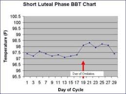 ovulation testing procedures tennessee reproductive medicine