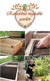 Maybe you would like to learn more about one of these? Raised Bed Vegetable Garden Vegetable Garden Raised Beds Vegetable Beds Raised Raised Beds