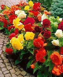Pin On Garten
