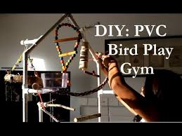 See more ideas about bird toys, bird, diy bird toys. Diy Pvc Bird Play Gym Youtube