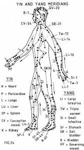 The Meridians Concepts Of The Traditional Chinese Medicine