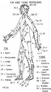 the meridians concepts of the traditional chinese medicine