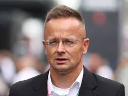 Hertha BSC: Dárdai Pál durva kritikát kapott Fredi Bobictól