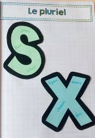 Cahier Interactif Le Pluriel Le Pluriel Pluriel Roue Des Emotions