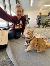 Image result for tbn:kc8eABZg-wZjqM::blog.lib.umn.edu/biomdoc/access_services/cupcake.jpg