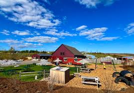 The Food Truck at Bear Creek — Restaurant food truck in Petoskey, Michigan