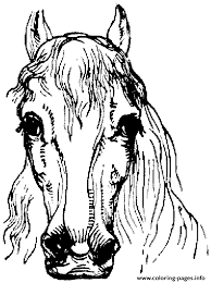 A dark pinto marking where the horse has a dark colored chest, surrounded completely by … Horse Face Coloring Pages Printable