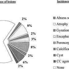 pie chart depicting the relative frequency of epilepsy in