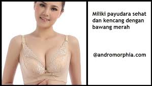 Goreng beras tanpa minyak dan kisarkannya sehingga hancur. Apakah Cara Membesarkan Payudara Dengan Bawang Merah Terbukti Ampuh Dan Cepat By Ipa Azahra Diva Medium