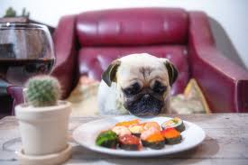 Technically speaking, dog foods commonly use tuna in their ingredients. Can Dogs Eat Tuna Is Tuna Safe Or Bad For Canines