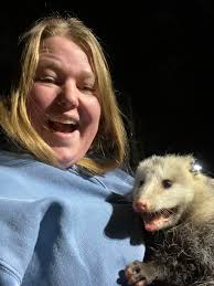 Relocating Opossums to Wildlife Reserves for Protection