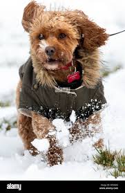 Windle hi-res stock photography and images