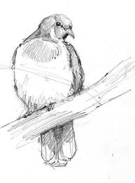 Keep A Sketchbook And Have Fun Goruntuler Ile Kus Cizimleri Kus Cizimi Kus Sanat