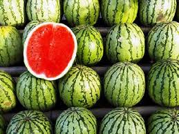 adana karpuzu meyve gida