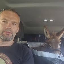 Blaze orange & camo...it's like they were made for each other. (I mean, the  seat cover was specifically made for this tractor. So, yeah, I guess they  were kind of made for