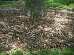 29 reviews of el corazon compost facility great place to pick up all kinds of mulch. Wood Chips Amberley Village