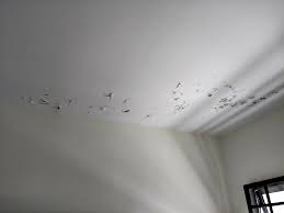 Wooden ceiling with its natural dark color accentuate masculine look inside the bedroom. The Old Days Paint Peeling Off From Ceiling