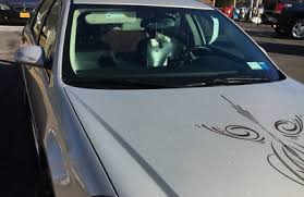 With each service, we offer a lifetime warranty! Autobell Car Wash 336 Second St Williamsburg Va 23185 Yp Com