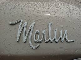 Image result for Marlin Silver 1966 AMC