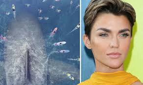 Ruby rose joins jason statham in giant shark thriller meg. The Meg Deleted Scenes Ruby Rose Reveals Epic Moment That Was Cut Films Entertainment Express Co Uk
