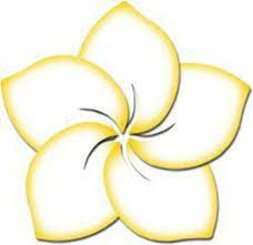 Pin By Erica Sanchez On Flower Stencil Flower Stencil Frangipani Tattoo Paper Flowers Diy