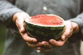 Obstsorten zum abnehmen 3.1 die erdbeere 3.2 die heidelbeere 3.3 die himbeere 3.4 der apfel 3.5 die grapefruit 3.6 die wassermelone 3.7 die avocado 3.8 du möchtest gesund abnehmen, bist dir aber nicht ganz sicher ob obst sich dafür eignet? Wassermelone So Wirkt Die Erfrischende Sommerfrucht Auf Den Korper Fit For Fun