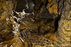 Lift your spirits with funny jokes, trending memes, entertaining gifs, inspiring stories, viral videos, and so much. Trek Rando Des Laves Tunnel Bleu Reunion Picture Of Kokapat Rando Reunion Le Tampon Tripadvisor