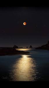 Moon Lovers Paesaggi Immagini Luna Sfondi Estivi Search for lovers moon pictures, lovepik.com offers 51250 all free stock images, which updates 100 free pictures daily to make your work professional and easy.