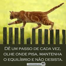Frases do Facebook - Não desista Dê um passo de cada vez, olhe onde pisa,  mantenha o equilibrio e não desista ...
