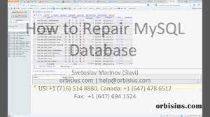How To Repair Mysql Database Tables: Wordpress Options Is Marked As Crashed  And Should Be Repaired - Youtube