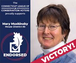 2018 Election Results