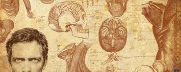 Best 57 Brain Wallpaper On Hipwallpaper Brain Wallpaper Artificial Intelligence Brain Wallpaper And Brain Medical Wallpaper You can also upload and share your favorite brain wallpapers. best 57 brain wallpaper on