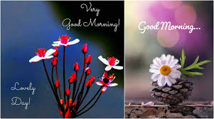 Here is the collection of the best good morning nature images, greetings, and cards that you can share on whatsapp and other social media platforms. Good Morning Hd Images World Environment Day 2020 Quotes Wish Vishwa Paryavaran Diwas With Wed Messages Whatsapp Stickers And Gif Greetings Latestly