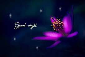 See more ideas about good night gif, night gif, good night. Good Night Animation Download