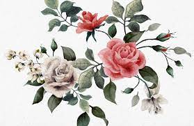 Harry corry have a large range of wallpaper designs and styles. Vintage Red White Rose Wallpaper Mural Hovia