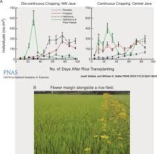 We did not find results for: Transformation Of Agricultural Landscapes In The Anthropocene Nature S Contributions To People Agriculture And Food Security Sciencedirect