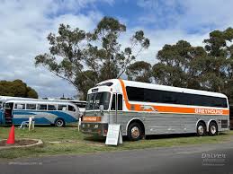 Image result for Gray 1984 Fleet