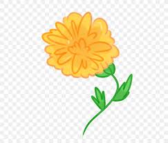 Mexican menu for restaurant and cafe. Mexican Marigold Calendula Officinalis Flower Drawing Clip Art Png 500x700px Mexican Marigold Calendula Calendula Officinalis Chrysanths
