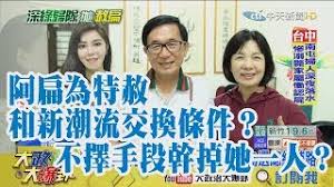 Image result for 賴清德退選交換小英赦扁