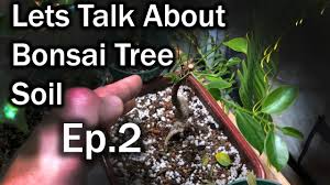 Check spelling or type a new query. The Importance Of Bonsai Tree Soil Ep 2 Gravel Vs Dirt Soil Youtube