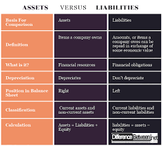 Differences Between Assets And Liabilities Difference Between