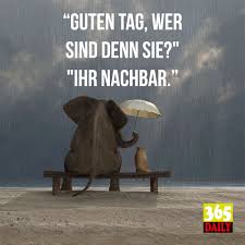 Wie Nett Gesagt Elefant Katze Niedlich Tierspruch Tierwitz Spruche Statements 365 Liebe Freundschaft Tagesspru Tierwitze Tagesspruch Geschichten