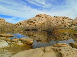 Mojave modern joshua tree by echo ranch, starting at $180. Rv Camping In Joshua Tree National Park Your Rv Lifestyle