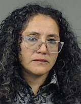 Lisle Township supervisor charged with DUI