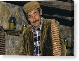 Image result for Vossia