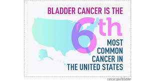 Bladder Cancer Patient Version National Cancer Institute