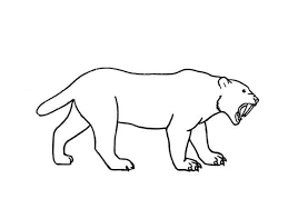 Maybe you would like to learn more about one of these? How To Draw A Sabre Tooth Tiger Step By Step Easy Animals 2 Draw